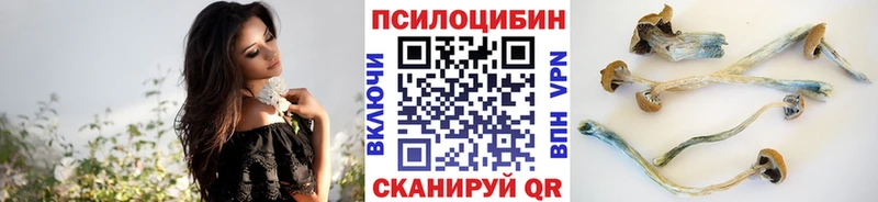 купить наркотик Азнакаево Галлюциногенные грибы Magic Shrooms